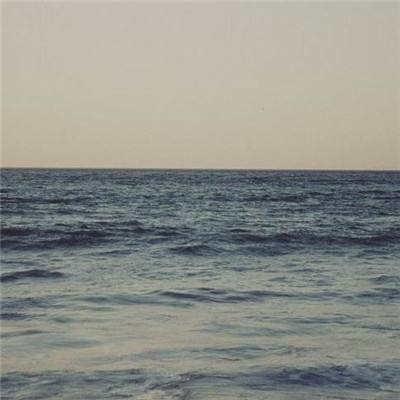 威尼斯游戏网站官网截图